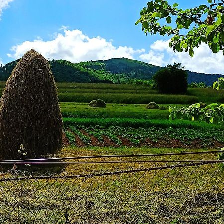 Садиба" У Василя" Volovăţ Exterior foto