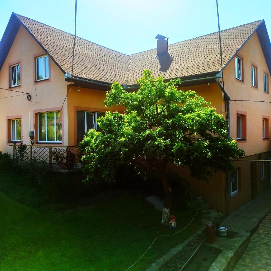 Садиба" У Василя" Volovăţ Exterior foto