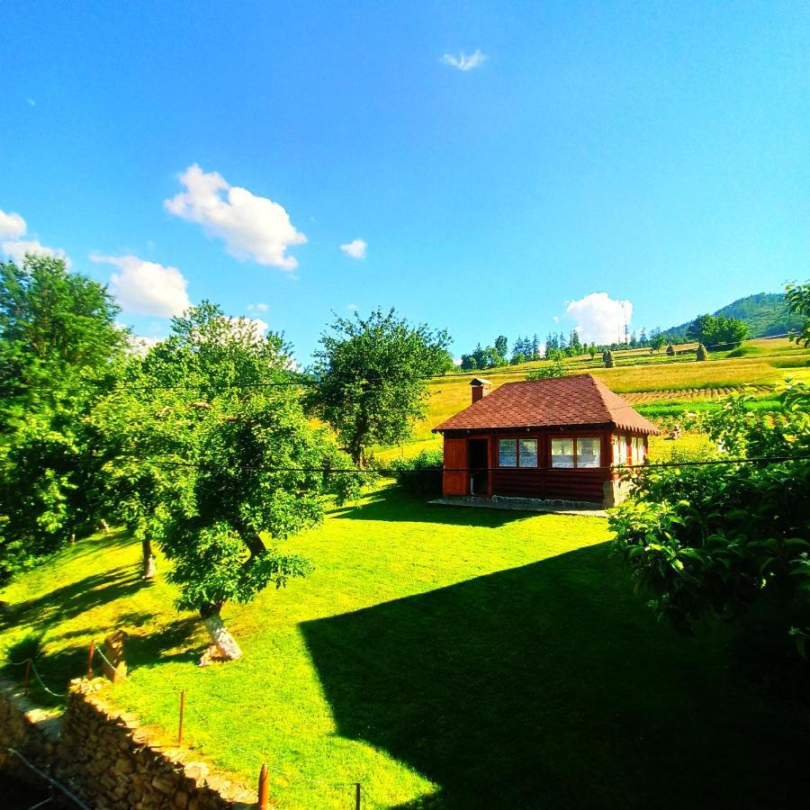 Садиба" У Василя" Volovăţ Exterior foto