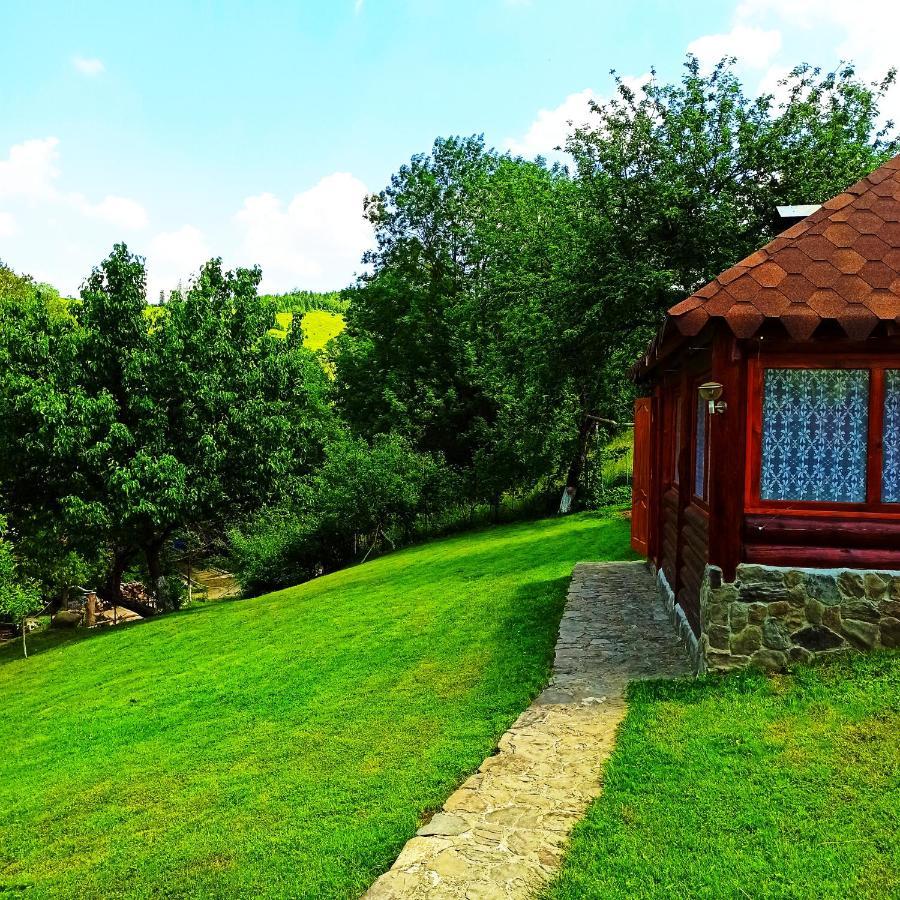 Садиба" У Василя" Volovăţ Exterior foto