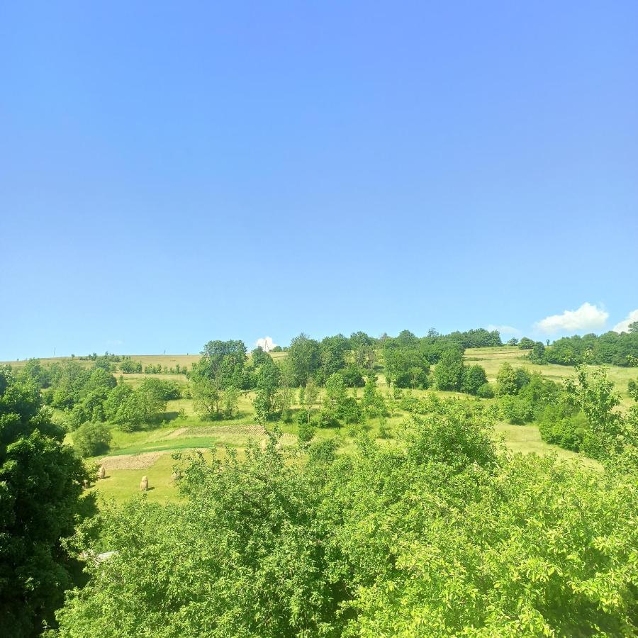 Садиба" У Василя" Volovăţ Exterior foto