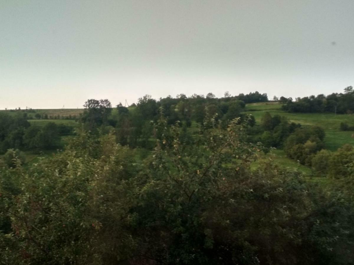 Садиба" У Василя" Volovăţ Exterior foto